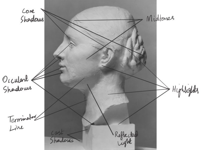 How to Draw Value Studies: 8 Steps – Binge Drawing